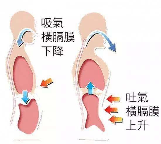 呼吸；呼吸??；肺氣腫；肺??；鍛煉